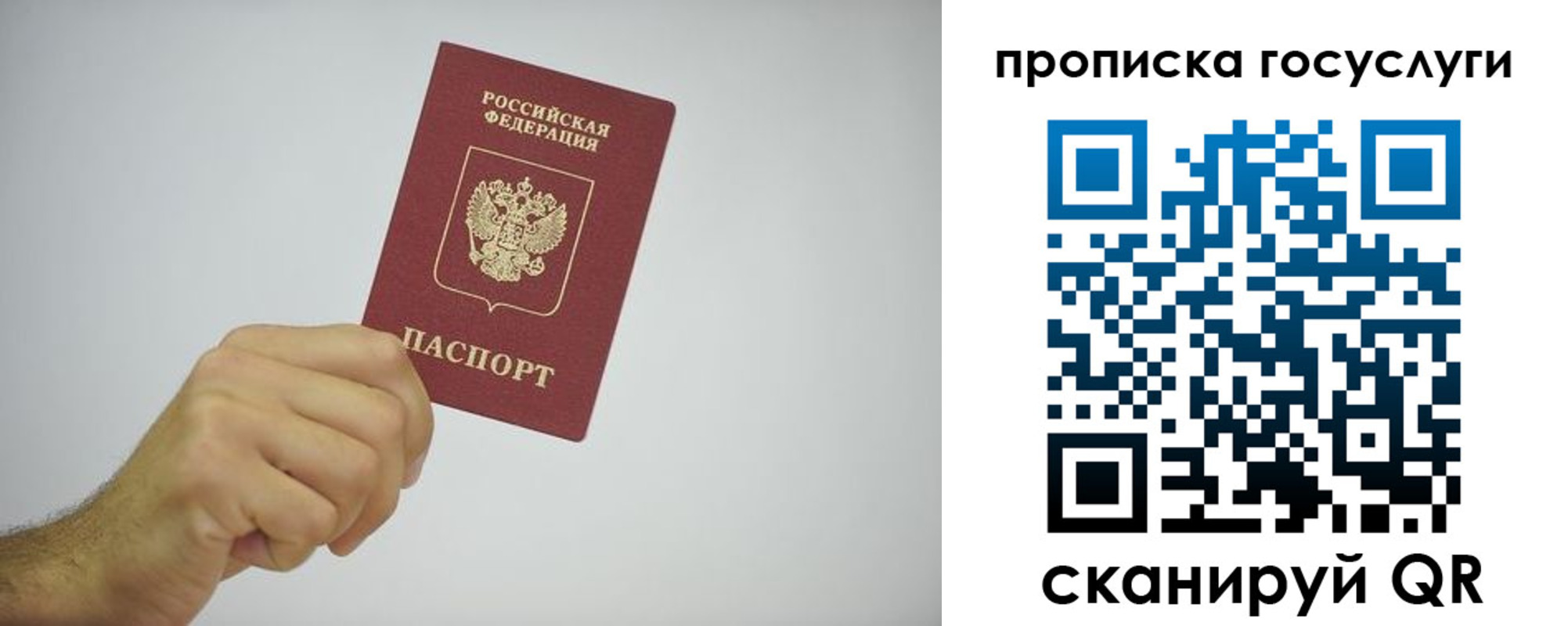 прописка законно в Сосновке